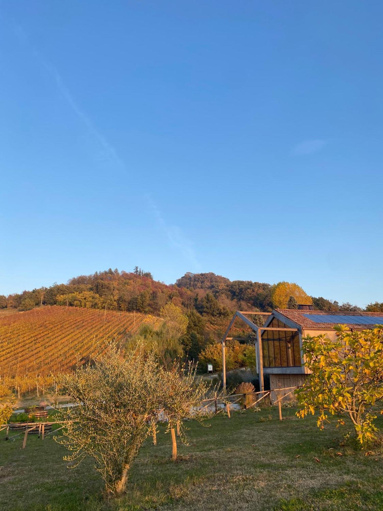 Agroturismo Corte D'aibo Monteveglio