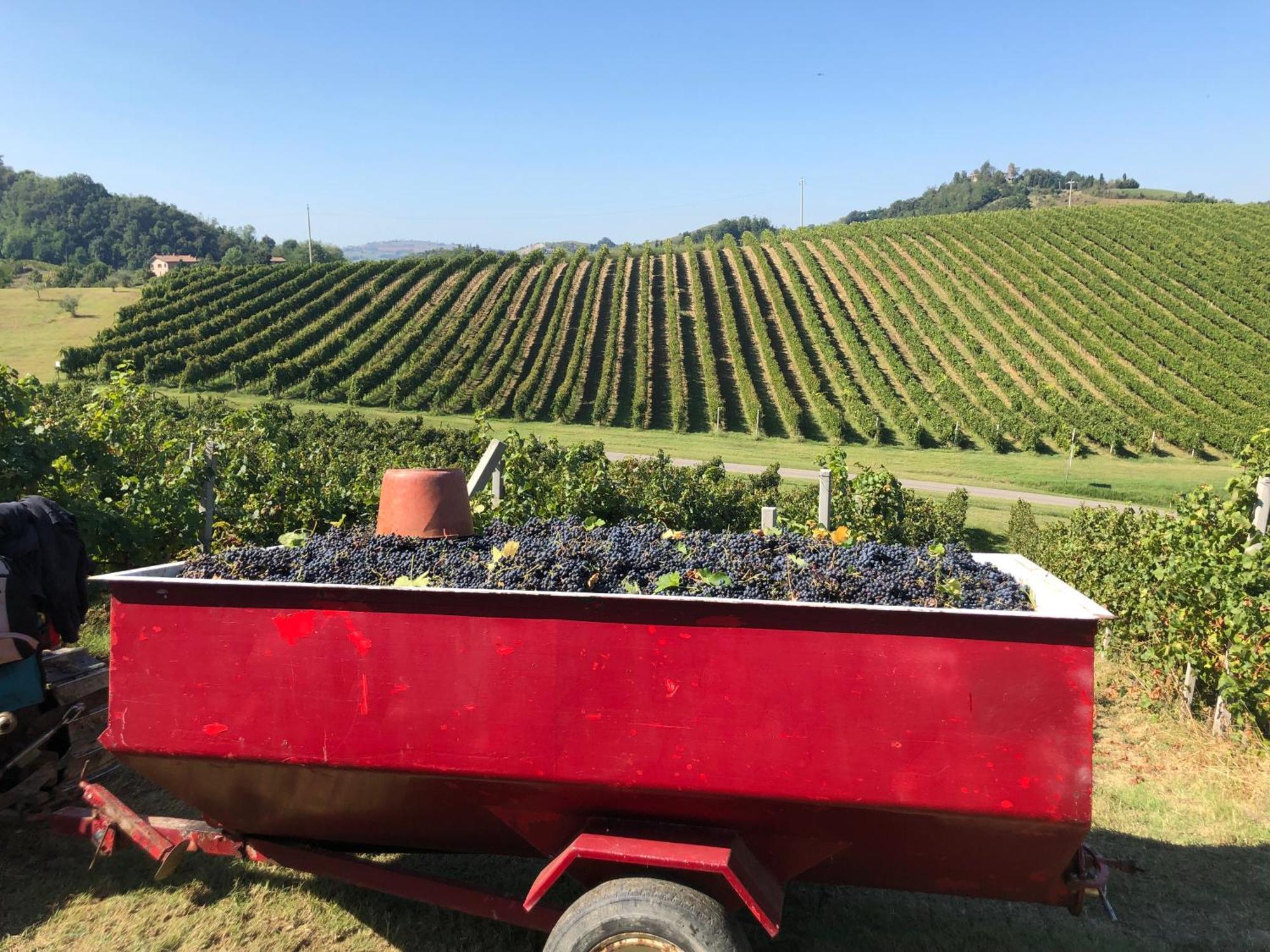 Agroturismo Corte D'aibo Monteveglio